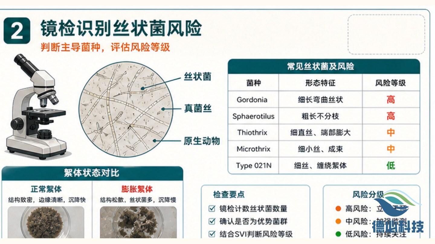 新闻图片 2