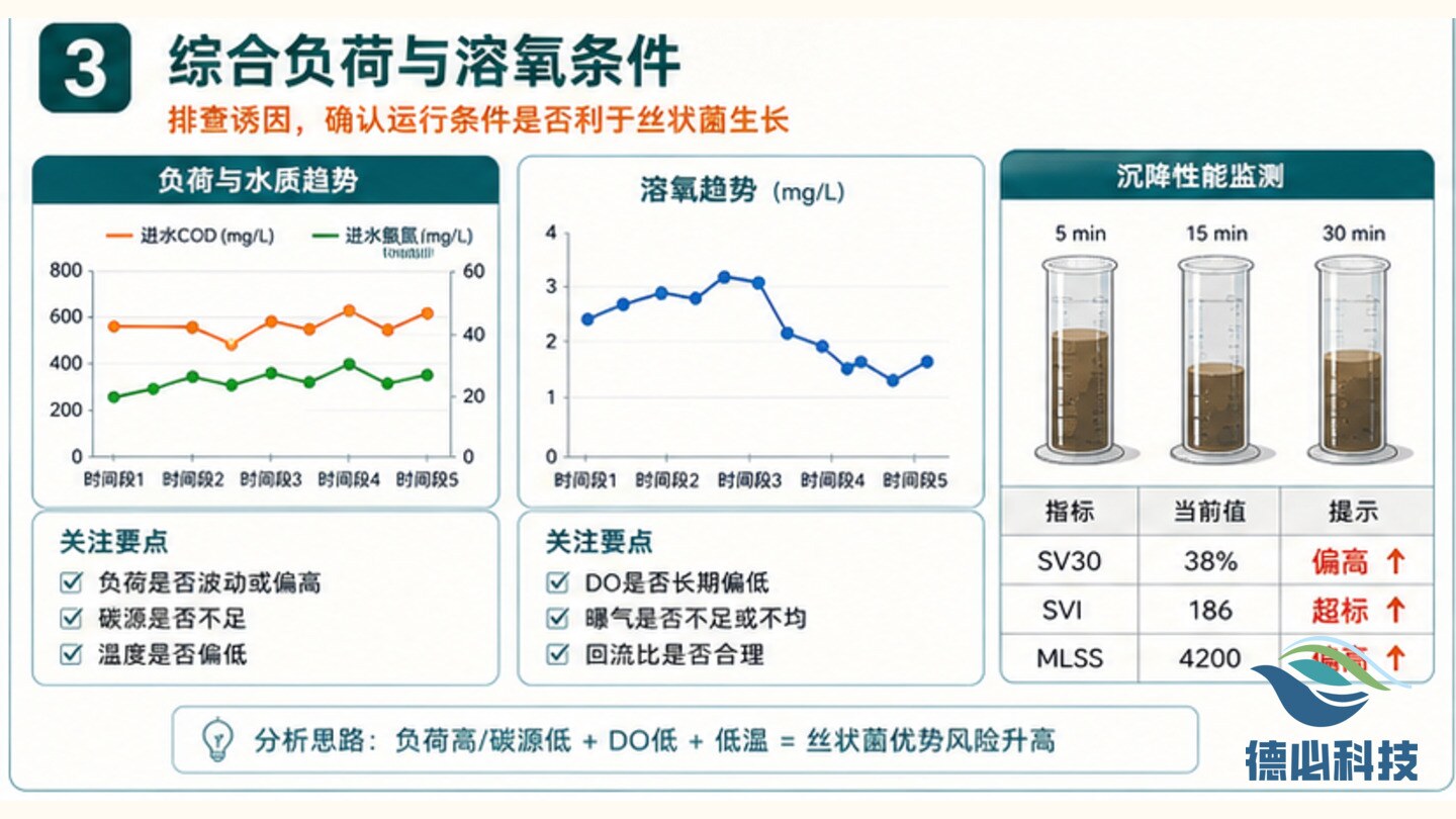 新闻图片 3