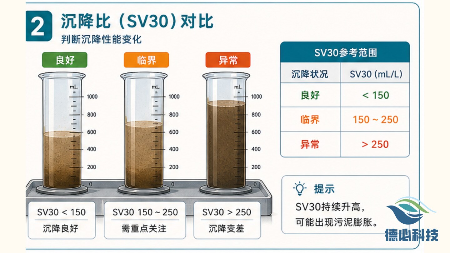 新闻图片 2
