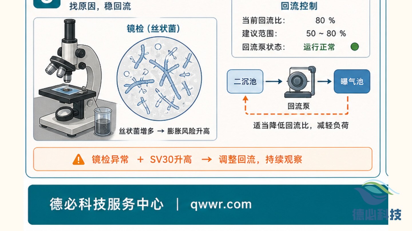 新闻图片 3