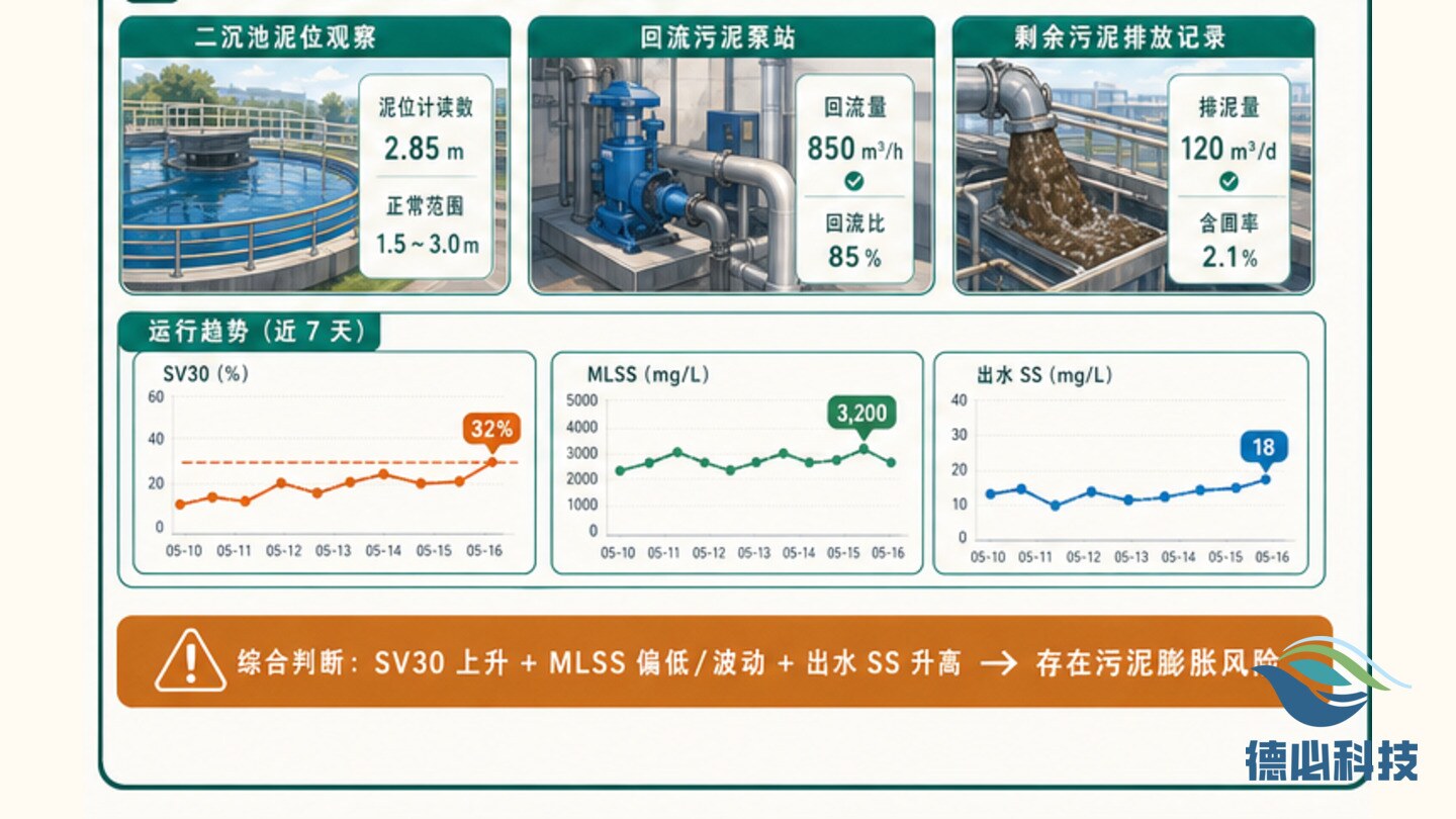新闻图片 3